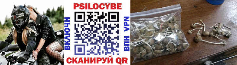 Псилоцибиновые грибы мухоморы  как найти закладки  Железноводск 